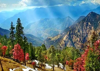 Binsar Trek