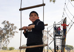 Horizontal Rope Ladder